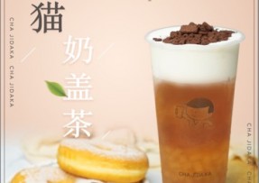 球友直播：熊猫奶盖茶